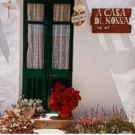 A Casa Di Nonna Iun Q2951 Villa ฟลูมินิมัจจอเร ภายนอก รูปภาพ
